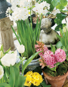 Detail-pottd-flowers-HTOURS0105-de