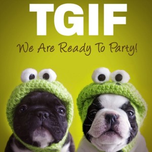 tgif-pup-pinterest