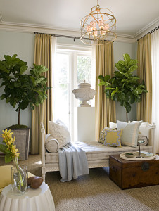 Fiddle leaf DC Design House
