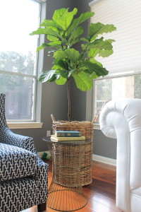 contemporary-living-room