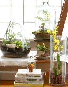 terrarium-for-mom