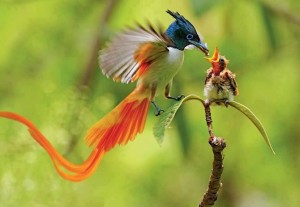 photo (13)