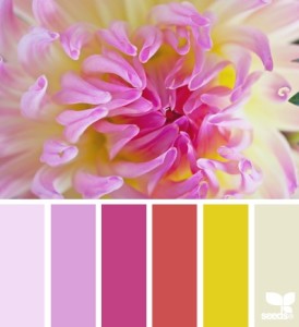 Photo: Design Seeds