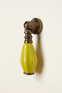 Anthropologie