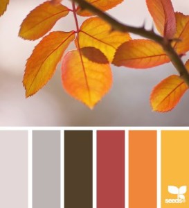 Fall Color Inspirations