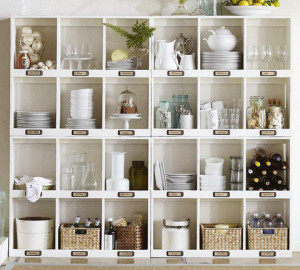 organization jacque lyn clark