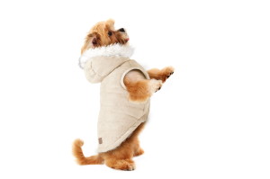 Check out the new DOGGY STYLES category on our online store