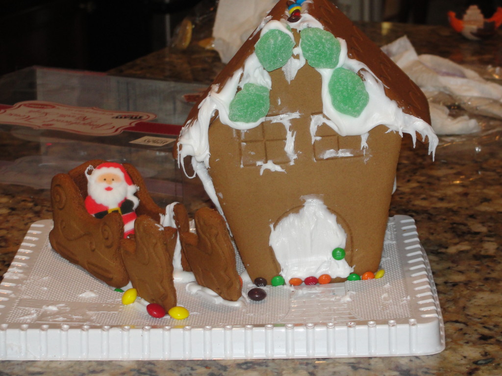 Christmas 2010 038