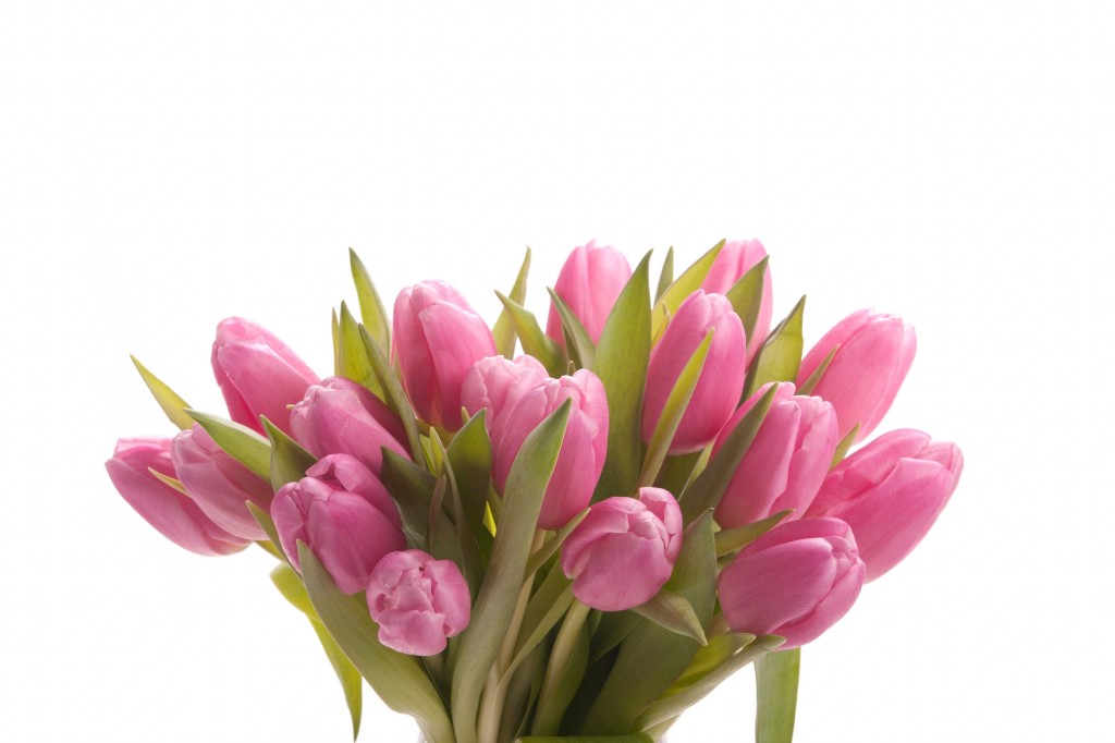 Source: FlowerMuse.com